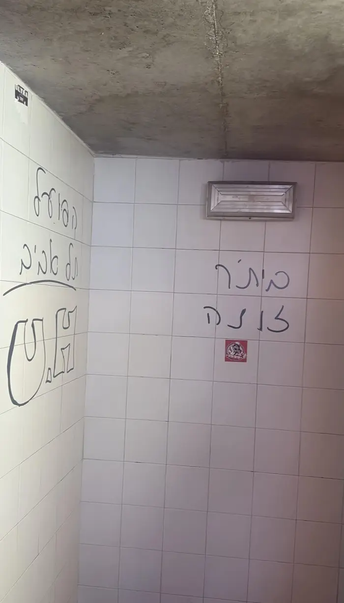 ההשחתה של השירותים בטדי (פרטי)