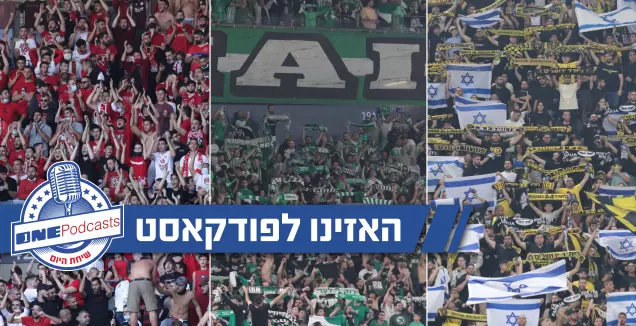 אוהדי כדורגל בישראל (עמרי שטיין)