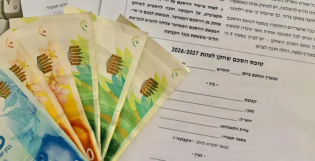 אילוסטרציה (יונתן גינזבורג)