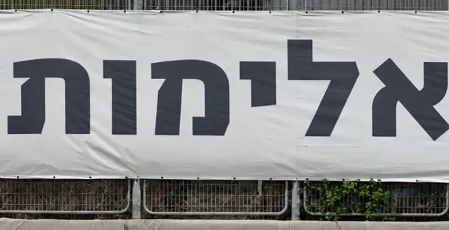אלימות לא בבית ספרנו (יונתן גינזבורג)